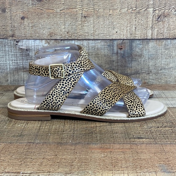 Sole Society Saden Strappy Sandals Women Size 10M Tan Black Cheetah Print Buckle - Picture 1 of 11